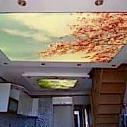 star-gergi-tavan91-200×200-180×180