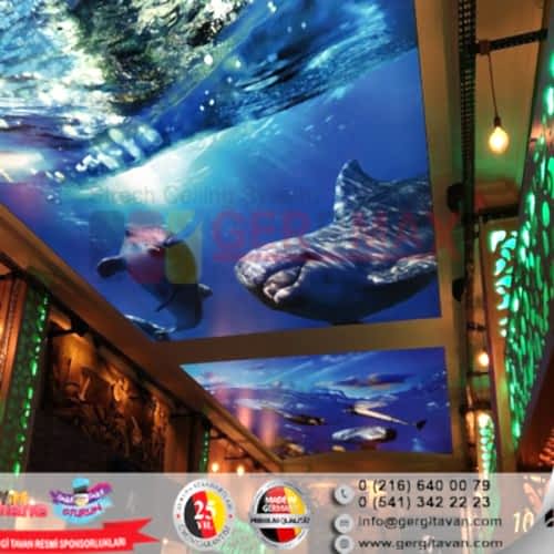 Dijital Baskı Gergi Tavan