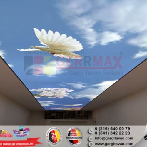 Dijital Baskı Gergi Tavan