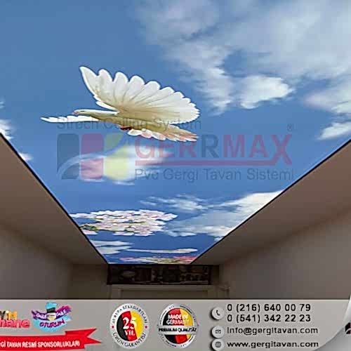 Dijital Baskı Gergi Tavan