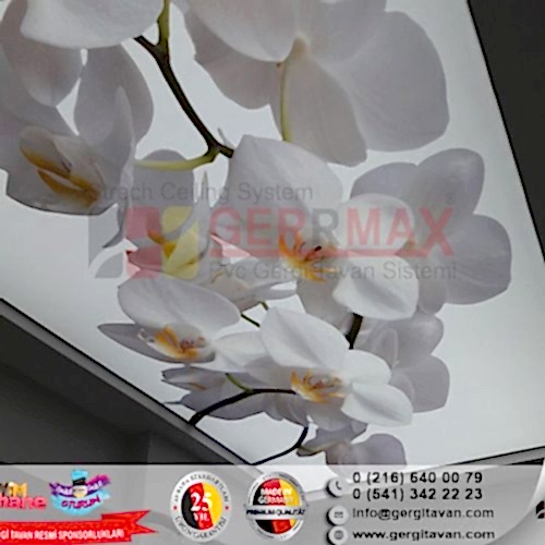 Dijital Baskı Gergi Tavan