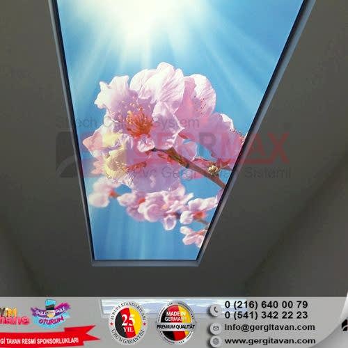 Dijital Baskı Gergi Tavan